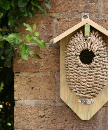 Bird Nest