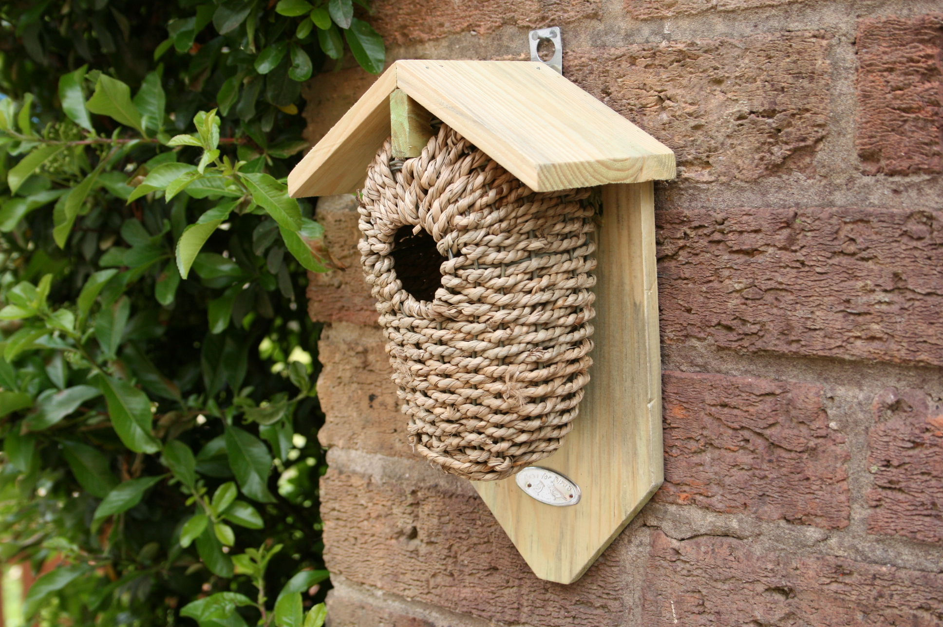 Bird Nest - Image 3