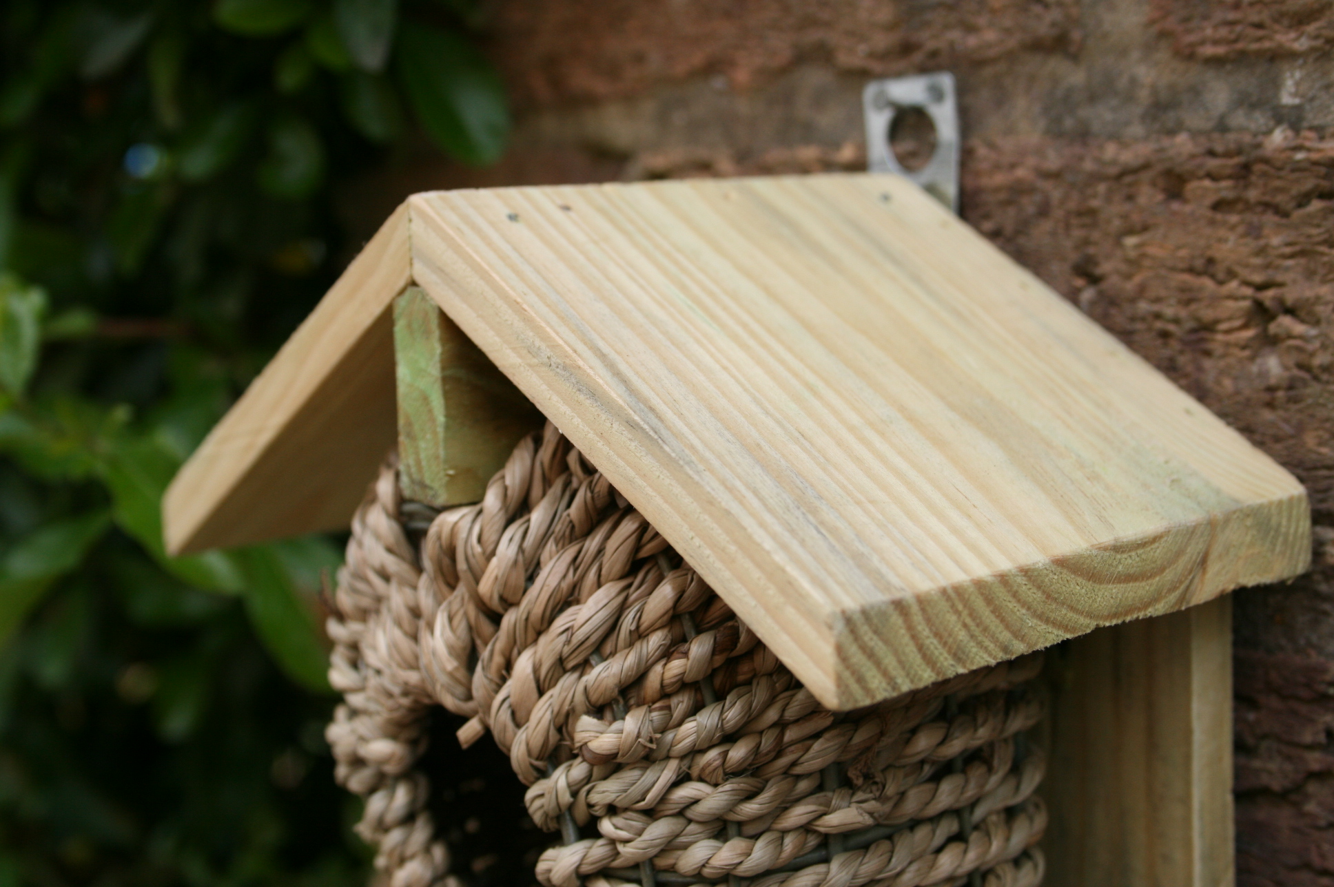 Bird Nest - Image 4