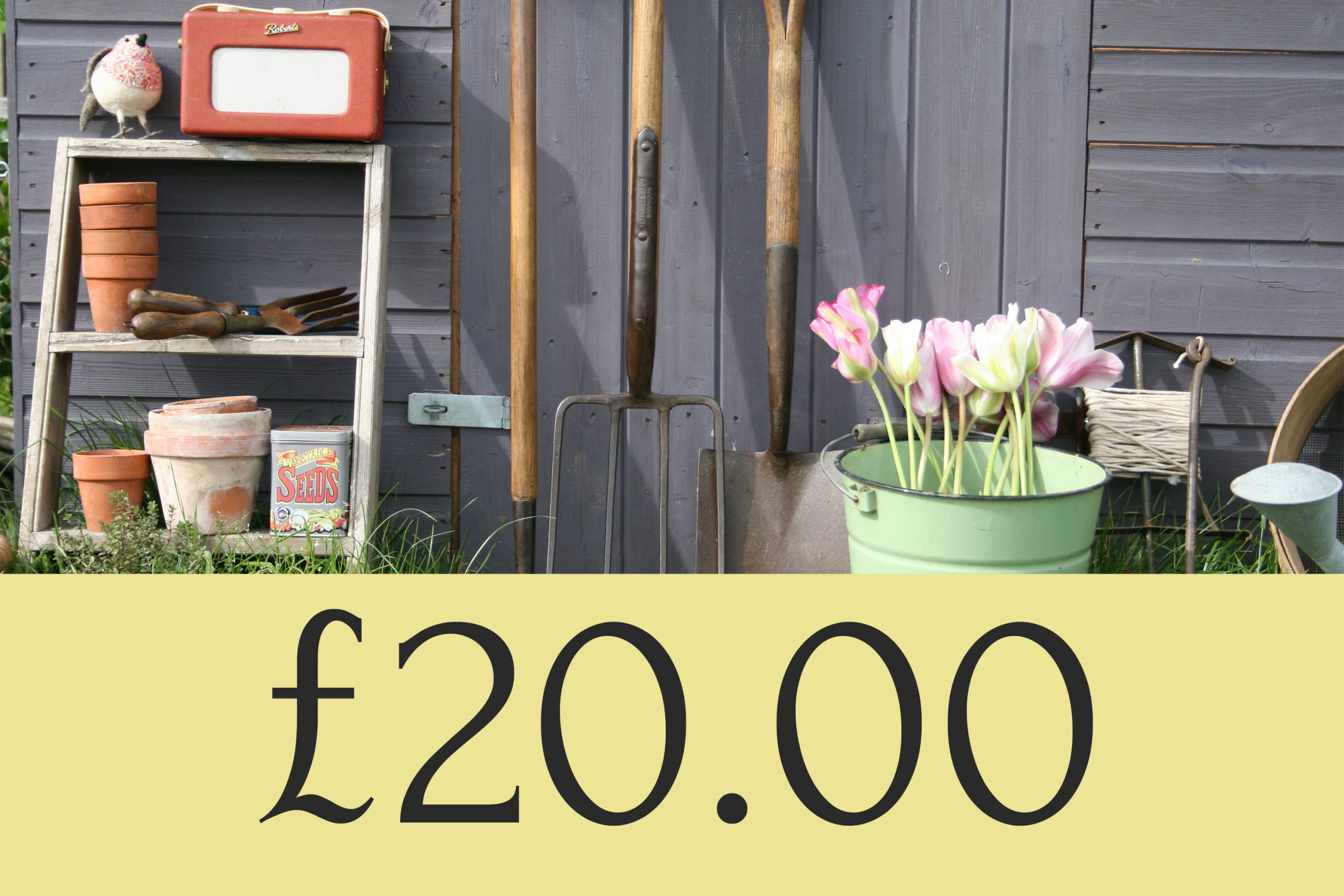 £20.00 Gift Voucher Coupon