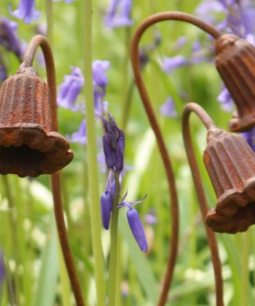 3 Small Bluebell Flower Heads