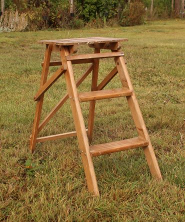 Small Step Ladder #12