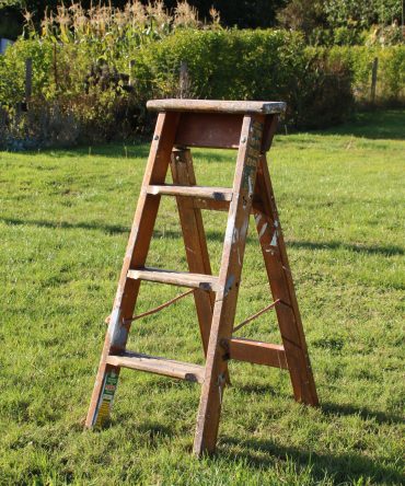 Step Ladder #15