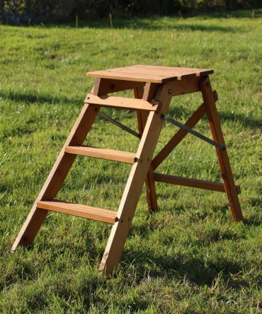 Small Step Ladder #17