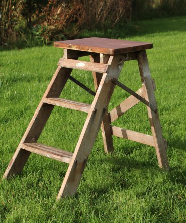 Small Step Ladder #19