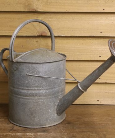 Watering Can #1