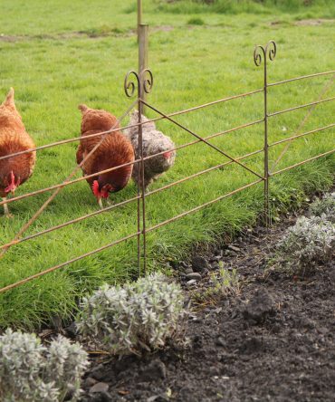 Border Edging Rusted 85cm.