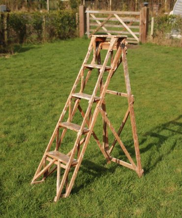 Step Ladder #3