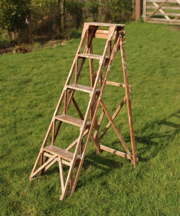 Step Ladder #4