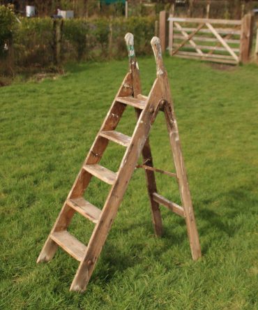 Step Ladder #5
