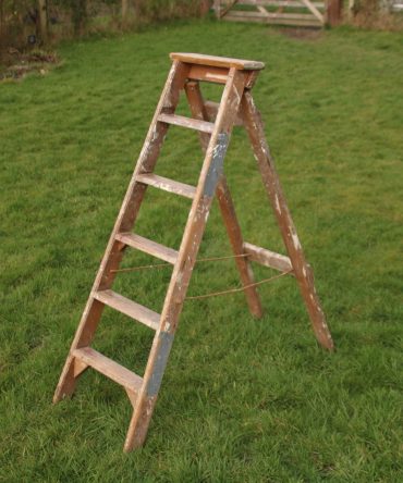 Step Ladder #6