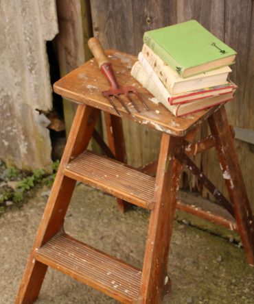 Small Step Ladder #8