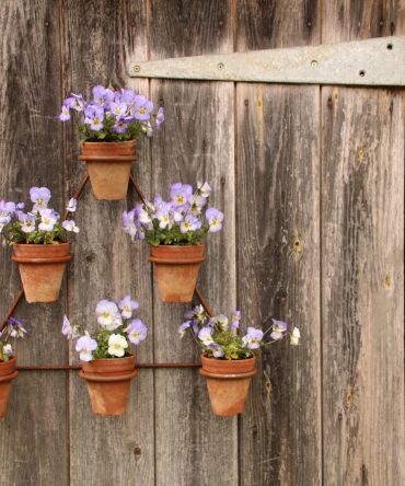 Metal Auricula Theatre with Pots